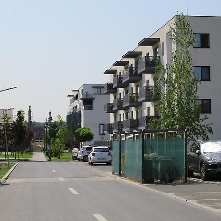 Amazing Apartament With Garden Bucharest Airport Self Check-In!! Otopeni Buitenkant foto