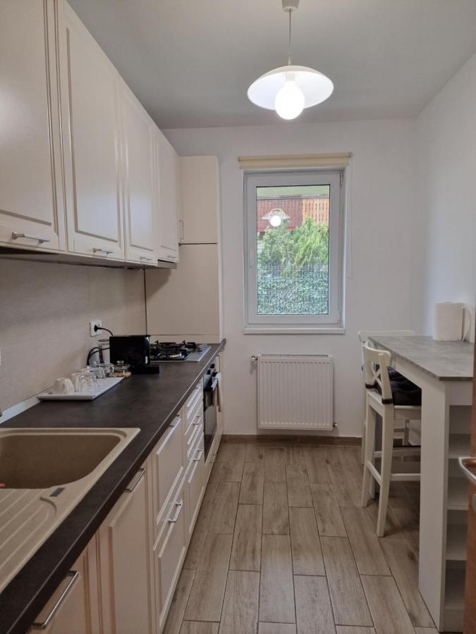 Amazing Apartament With Garden Bucharest Airport Self Check-In!! Otopeni Buitenkant foto
