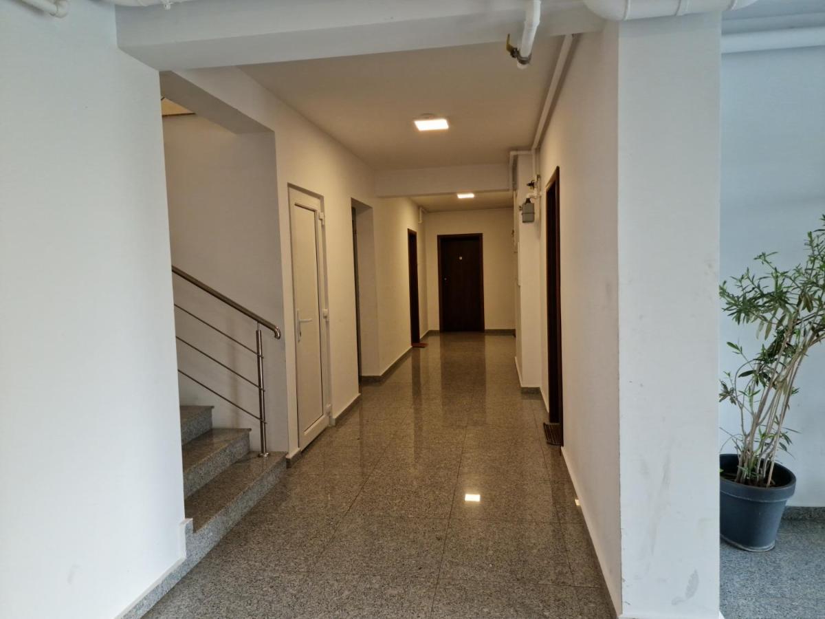 Amazing Apartament With Garden Bucharest Airport Self Check-In!! Otopeni Buitenkant foto