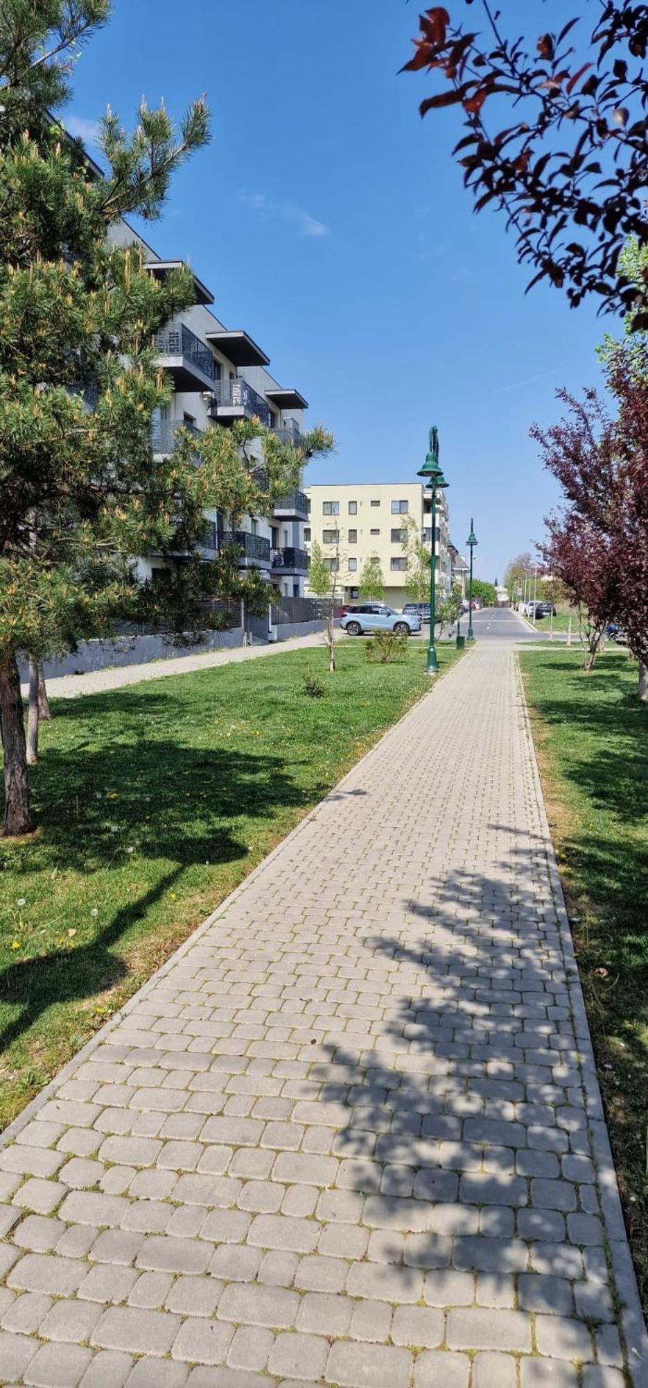 Amazing Apartament With Garden Bucharest Airport Self Check-In!! Otopeni Buitenkant foto